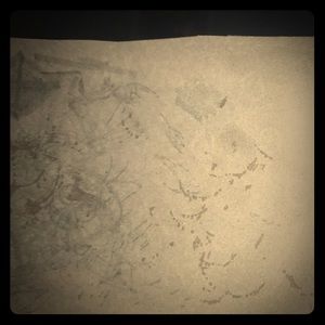 Beautiful majestic priceless piece of artwork